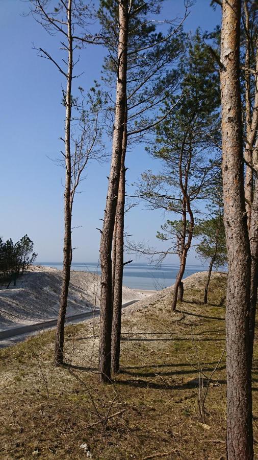Apartament Premium Baltic House Międzywodzie Eksteriør billede